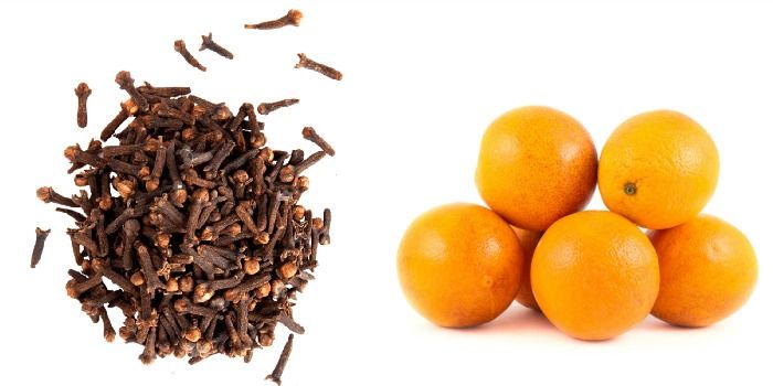 SWEET ORANGE & CLOVE WHIPPED TALLOW CREAM