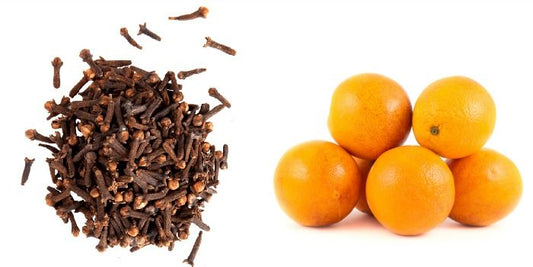 SWEET ORANGE & CLOVE WHIPPED TALLOW CREAM