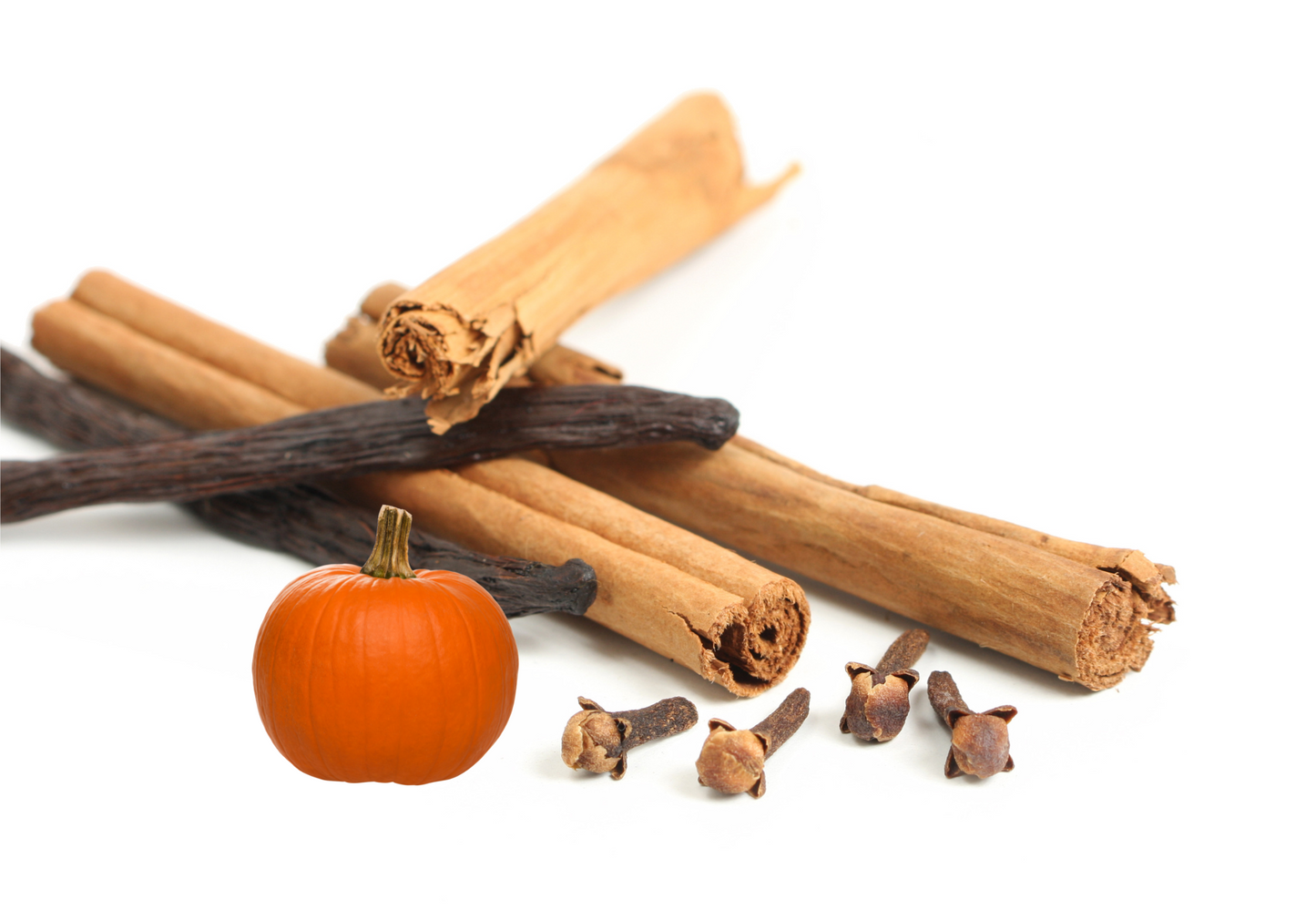 PUMPKIN SPICE INFUSED WHIPPED TALLOW CREAM